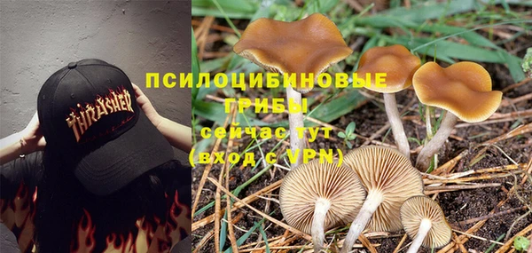 а пвп мука Богородск