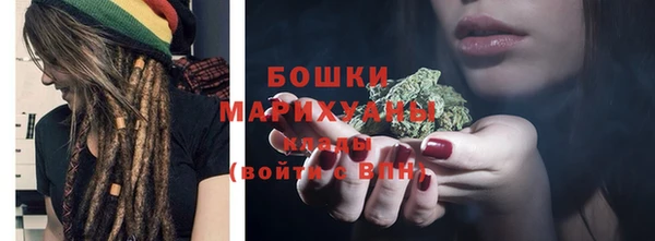 сатива Богородицк