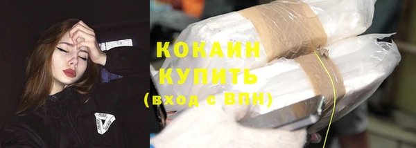 сатива Богородицк