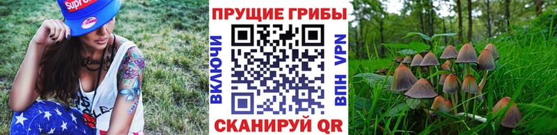 Псилоцибиновые грибы прущие грибы  Норильск 